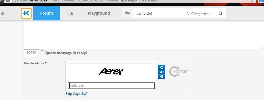 PERNAH LO NEMUIN CAPTCHA BEGINIAN ?