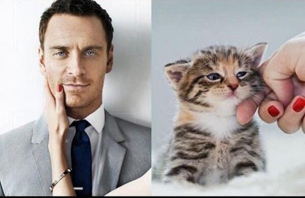 Kucing Menirukan Gaya Orang