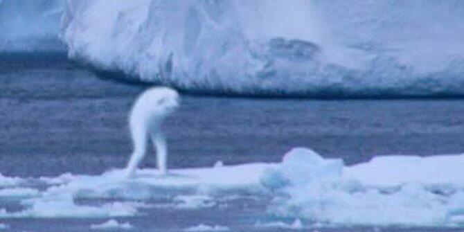 [ngeri] 4 Sosok 'manusia' raksasa tertangkap kamera hebohkan dunia