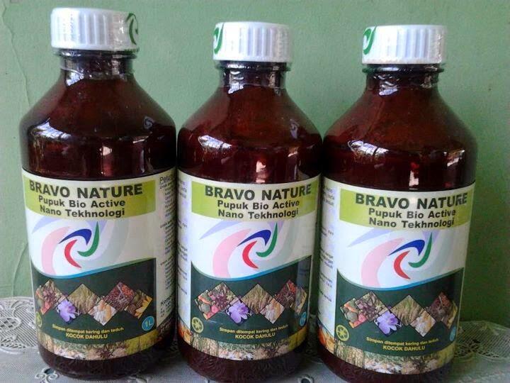 Mengenal Nanosains & Nanoteknologi