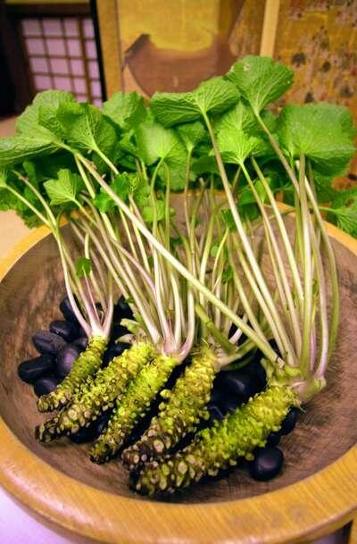 Serba serbi Si Hijau Wasabi 