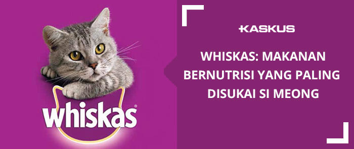 Whiskas: Makanan Bernutrisi Yang Paling disukai Si Meong