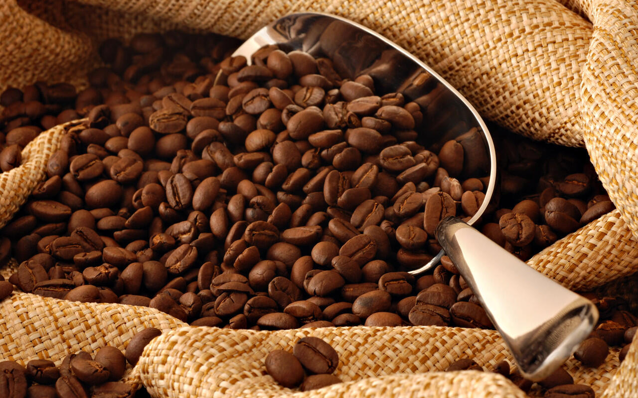 Masih binggung mau minum kopi yang mana, Yuk masuk!!!