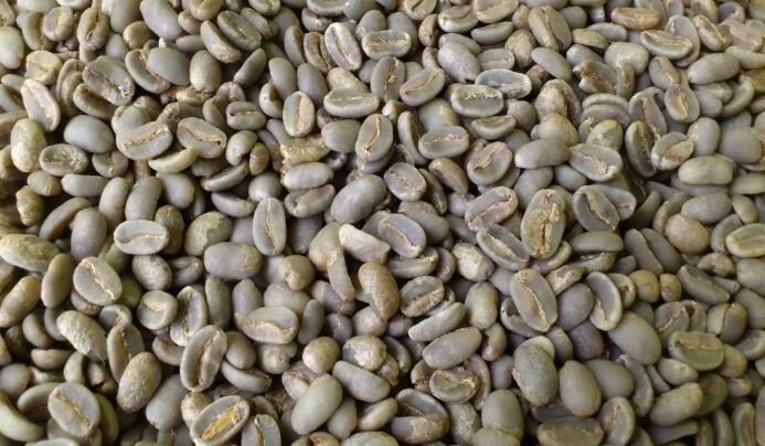 Masih binggung mau minum kopi yang mana, Yuk masuk!!!