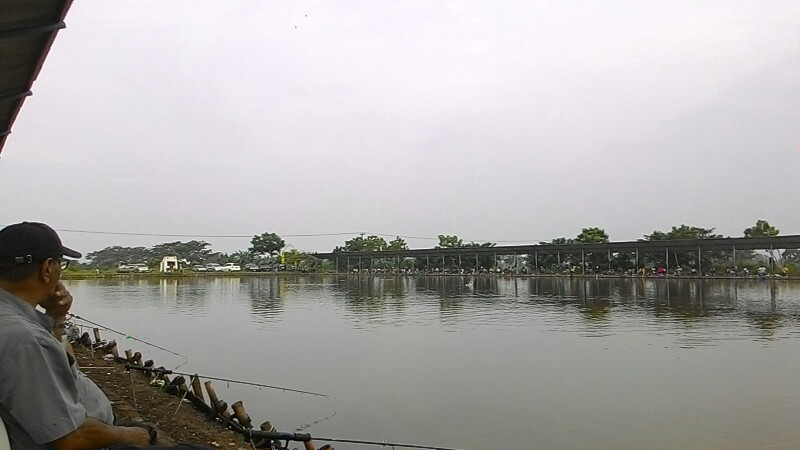 Kolam Pancing Agung Lomba Mancing Rutin Ikan Bandeng Pasuruan