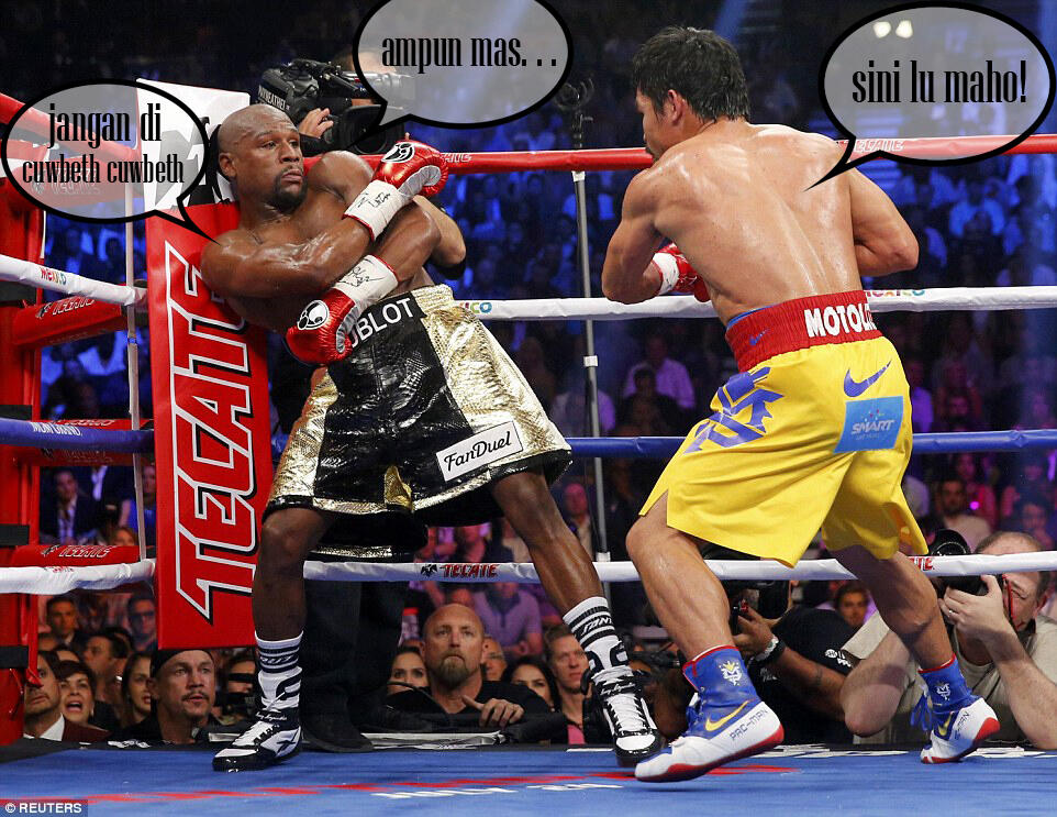 (PERTANDINGAN SABUN) MAYWEATHER BELUM TERKALAHKAN