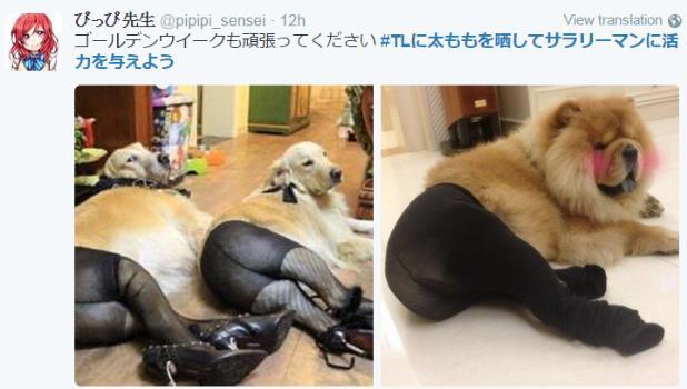 Hadiah dr Ce Twitter Jepang Pd Pekerja Yg Kerja di Hari Libur &#91;Nonton Paha Mulus&#93;