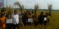 Capai Swasembada Pangan, Kementan gandeng TNI AD..