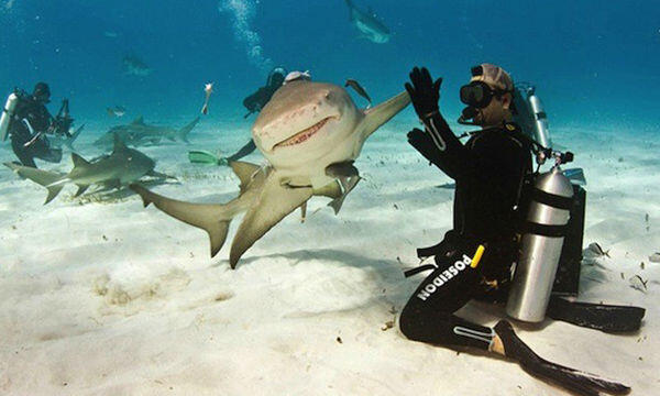 33 Foto Candid yang Momennya Selalu Diidam-Idamkan Oleh Setiap Fotografer