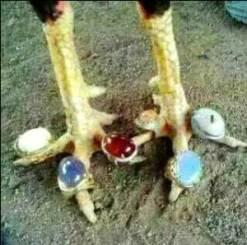 Manfaat batu AKIK yg belum terungkap Bray !