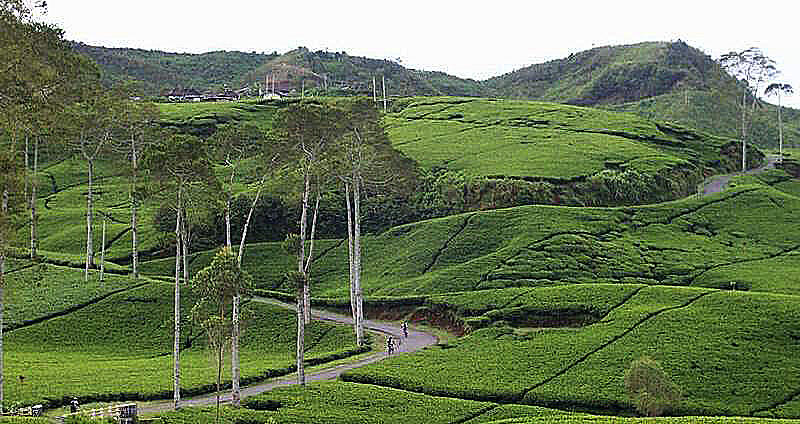 :: Cara Lain Liburan di Bandung ::