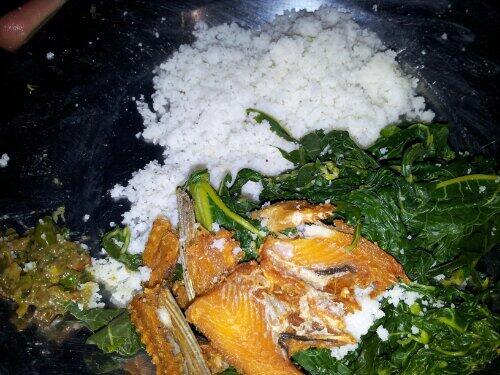 CARA MEMASAK NASI JAGUNG MODERN (Rendah Lemak)