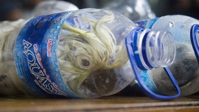 Burung kakaktua dimasukkan botol air mineral lalu diperjualbelikan.