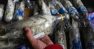 Burung kakaktua dimasukkan botol air mineral lalu diperjualbelikan.