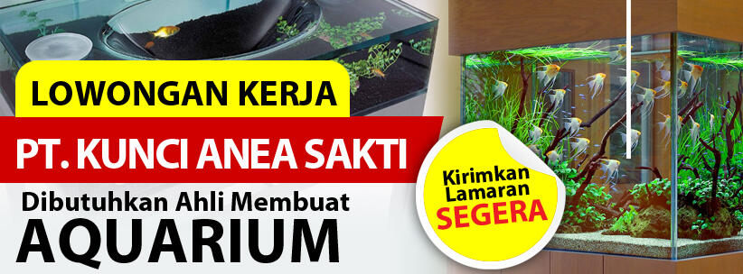 LOWONGAN BWT CEWEK DAN COWOK AHLI MEMBUAT AQUARIUM PT. KUNCI ANEKA SAKTI-SIDOARJO