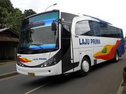 10 BUS MALAM TERBAIK (versi ane)