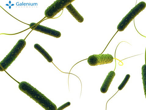 Mengenal Bakteri E-coli Lebih Dalam
