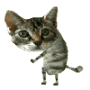 Koleksi Avatar animasi lucu