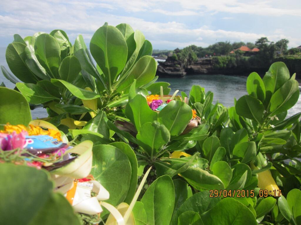 Birthday Journey to BALI :D