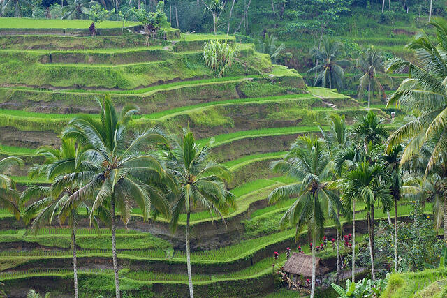 10 Tempat Obyek Pariwisata yang wajib dikunjungi jika ke Bali