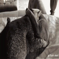 Ketahuan Selingkuh 