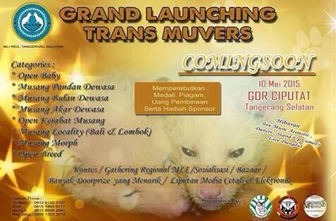 &#91;HOT&#93; Dateng yuk ke Acara Nasional Musang lovers Indonesia