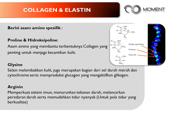 Informasi Seputar Join Member MOMENT - Amel Moment Infinity