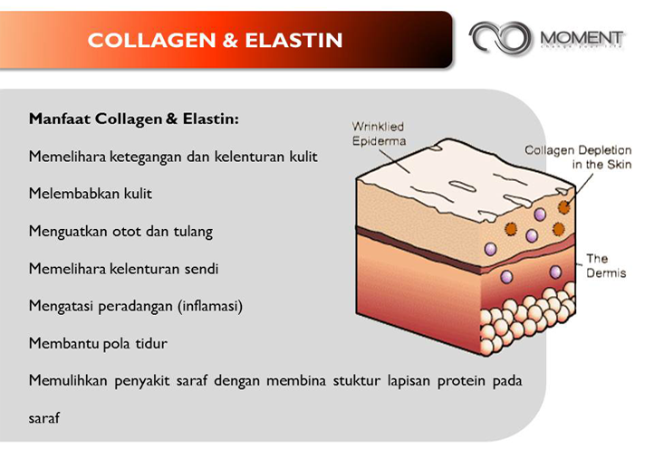 Informasi Seputar Join Member MOMENT - Amel Moment Infinity