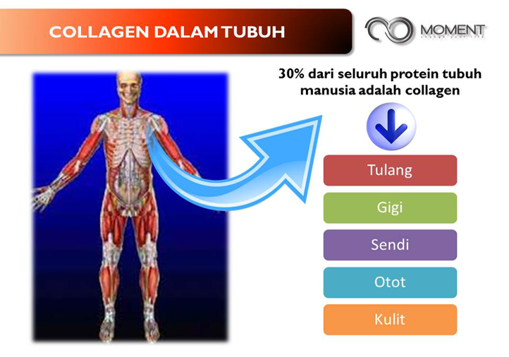 Informasi Seputar Join Member MOMENT - Amel Moment Infinity