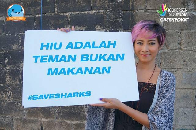 SAVE OUR SHARKS! ( RCTI PROPAGANDA MAKAN HIU )