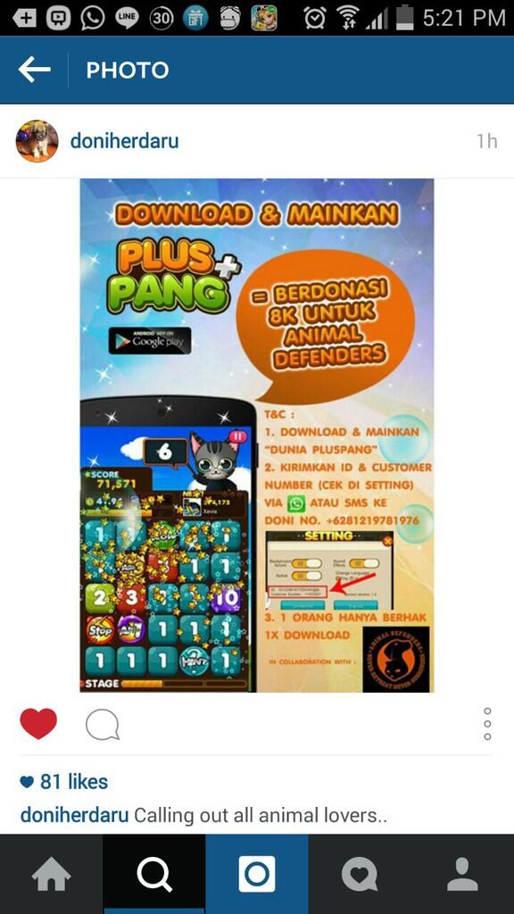 &#91;DONASI&#93; Untuk hewan terlantar 