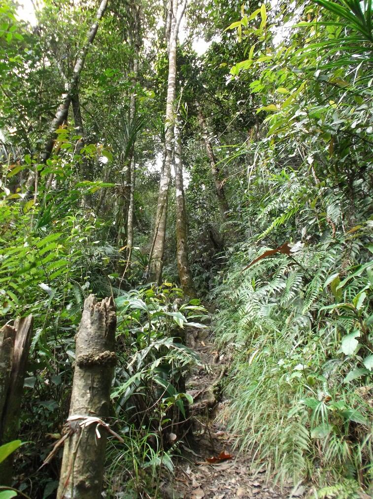 Because It's There: Sebuah Catatan Perjalanan Pendakian Titik Tertinggi Sulawesi