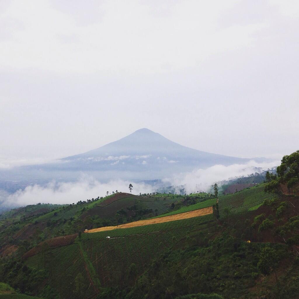 Liburan "Panas" di Garut