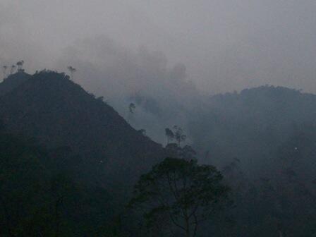 &quot;Menerjang Kabut Kebakaran Hutan Ujung Sumatra 2014 &quot; 