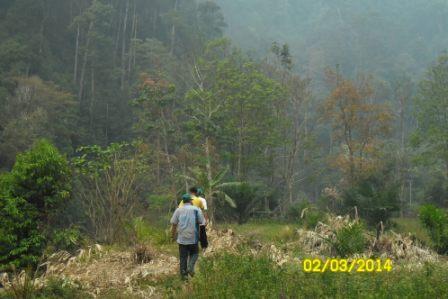 &quot;Menerjang Kabut Kebakaran Hutan Ujung Sumatra 2014 &quot; 