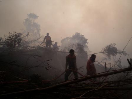 &quot;Menerjang Kabut Kebakaran Hutan Ujung Sumatra 2014 &quot; 