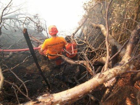 &quot;Menerjang Kabut Kebakaran Hutan Ujung Sumatra 2014 &quot; 