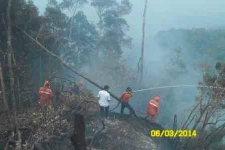 &quot;Menerjang Kabut Kebakaran Hutan Ujung Sumatra 2014 &quot; 