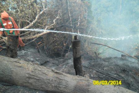 &quot;Menerjang Kabut Kebakaran Hutan Ujung Sumatra 2014 &quot; 