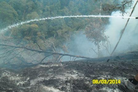 &quot;Menerjang Kabut Kebakaran Hutan Ujung Sumatra 2014 &quot; 