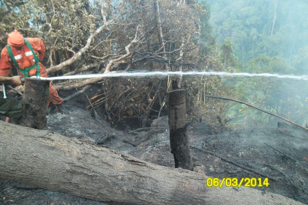 &quot;Menerjang Kabut Kebakaran Hutan Ujung Sumatra 2014 &quot; 