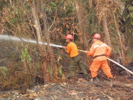 &quot;Menerjang Kabut Kebakaran Hutan Ujung Sumatra 2014 &quot; 