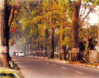 (HORROR) 17 CERITA URBAN LEGEND DI BANDUNG