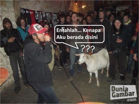 ( thread serius ) Hal hal yang harus ente miliki sebelum ente berusia 30 tahun