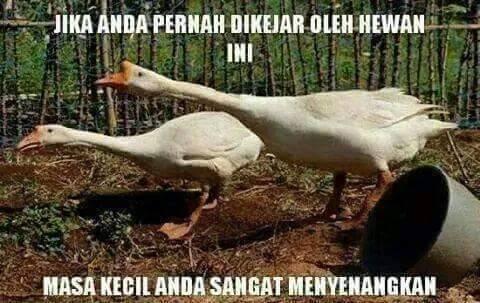 Waktu kecil dulu, ente ngalamin ini ga, gan?