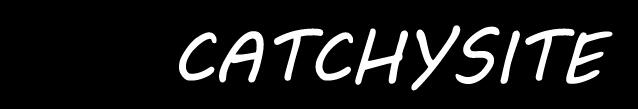 &#91;BANDUNG&#93; catchysite.com -- Dicari web developer, web designer untuk kerja remote