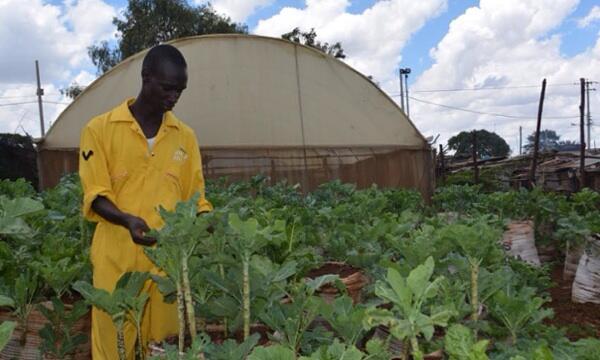&#91;Dikarungin&#93; Cara Petani Afrika bertani di permukiman kumuh