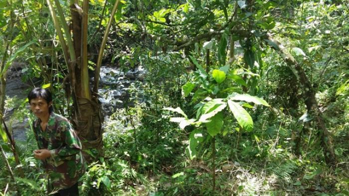 Pemandian Umum di Bali Ini Jadi Tempat Mesum