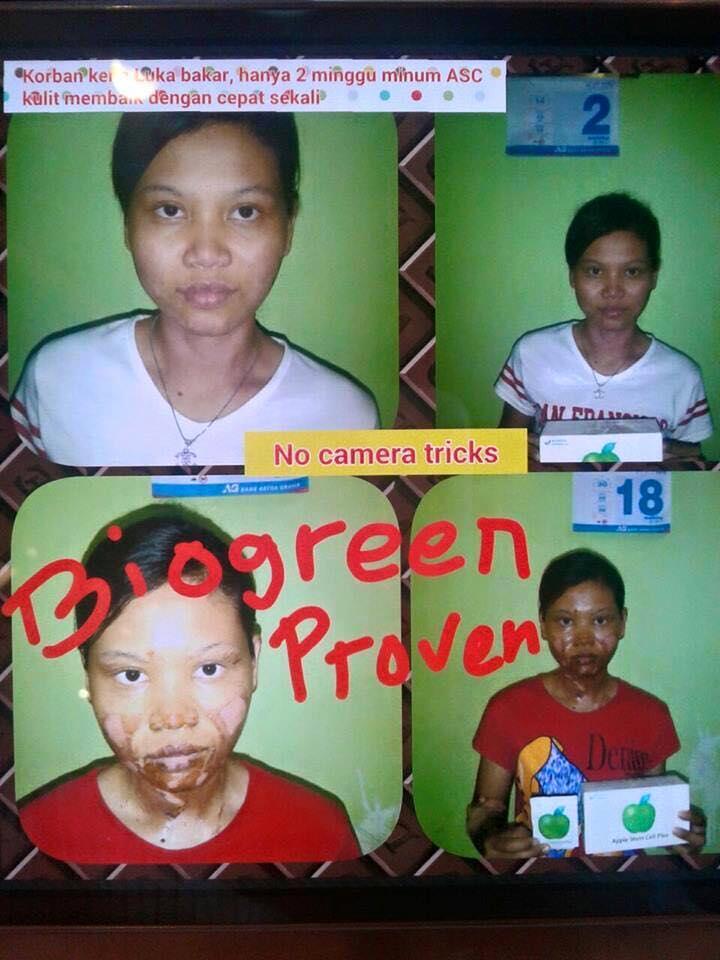 ORANG PINTAR? BISNISNYA INI! INCOME UNLIMITED BISA SAMPAI MILYARAN/BULAN