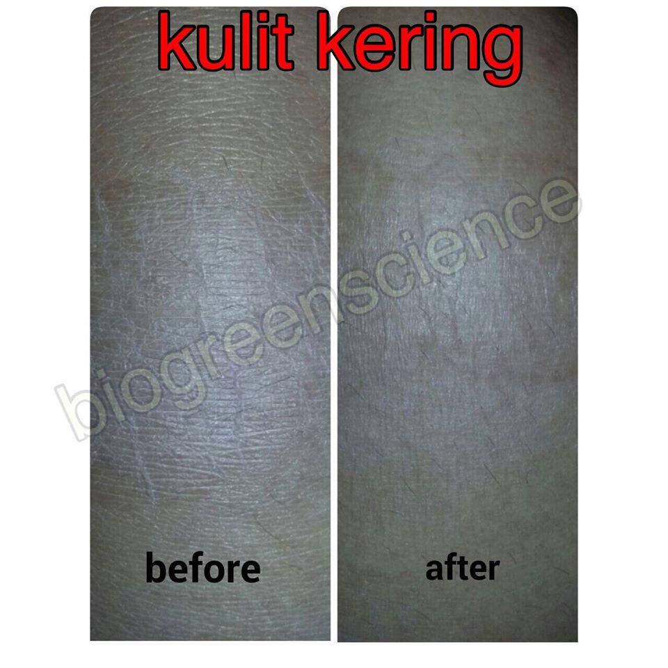 ORANG PINTAR? BISNISNYA INI! INCOME UNLIMITED BISA SAMPAI MILYARAN/BULAN